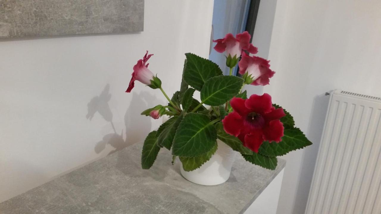 בוקרשט Eapartment מראה חיצוני תמונה